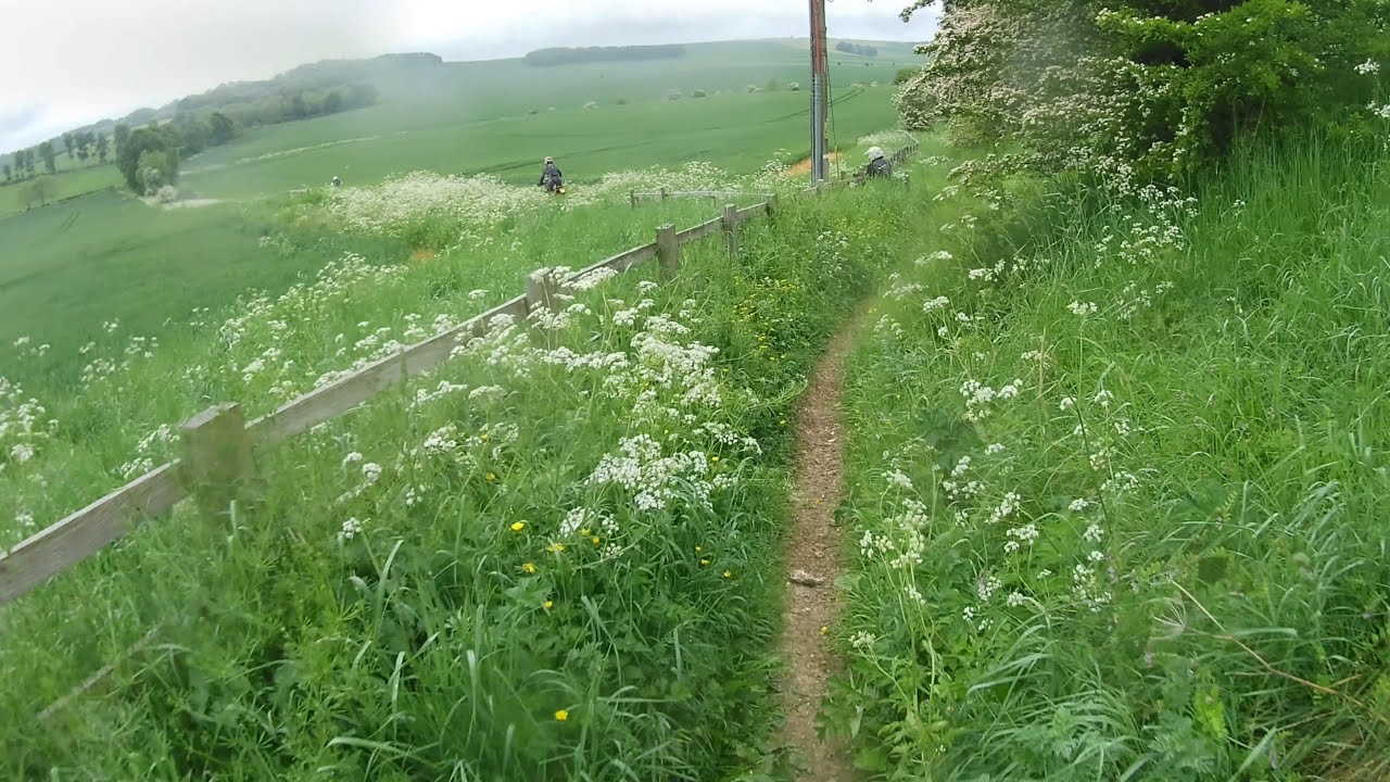 Wiltshire Trail Riding Day June 2021 Pt1