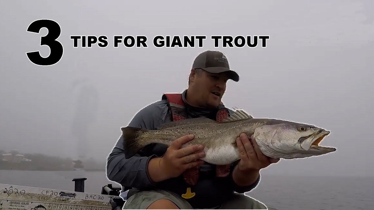 3 TIPS to Catch GIANT Speckled Trout This Summer