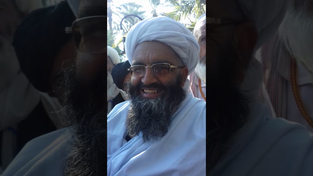 التقيت بالشيخ محمد الأمين الأفغاني 