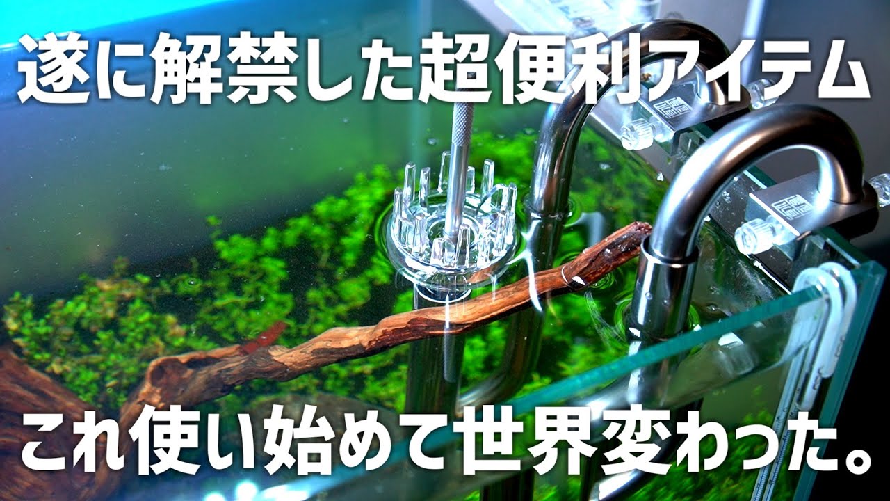最高のアクア用品を使用して水槽立ち上げ！早くこっちにしときゃ良かったステンレスパイプ。#675【アクアリウム】