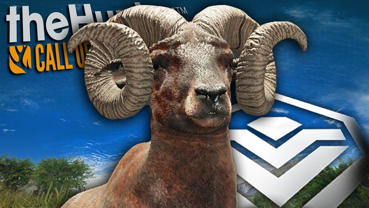Diamond Bighorn Sheep Surprises Us During The Mule Deer Grind! Call of the wild