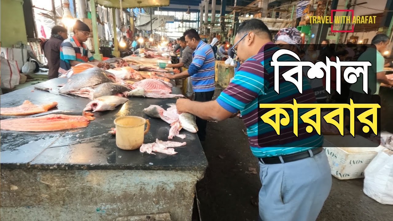 Fish processing market in Kolkata, India. India Tour, Fish Market In Kolkata.