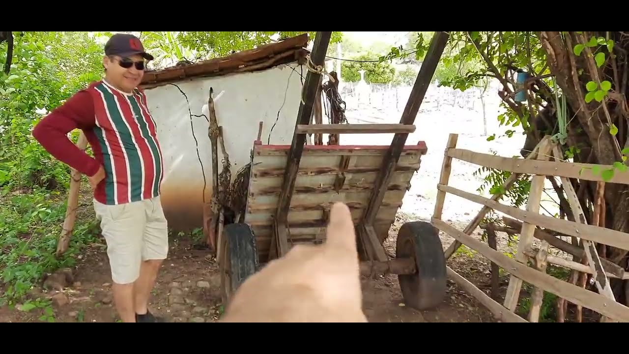 CURRAL FEITO MANUALMENTE E NO CAPRICHO OLHA SÓ #curral #agro