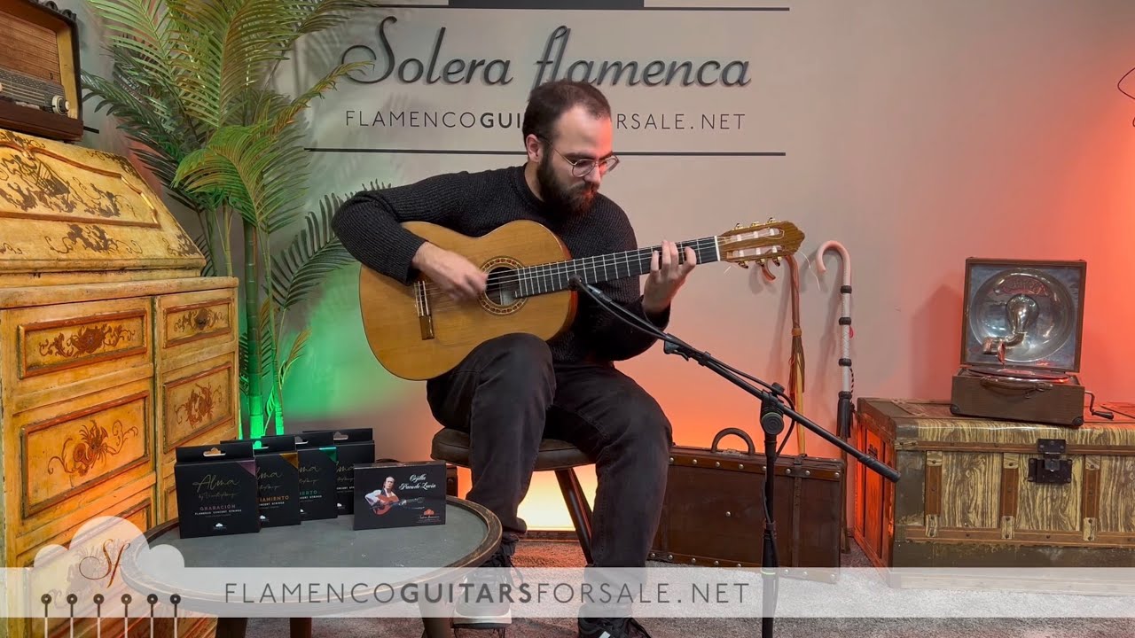 Lester devoe 1995 flamenco guitar for sale played by Toni Abellán