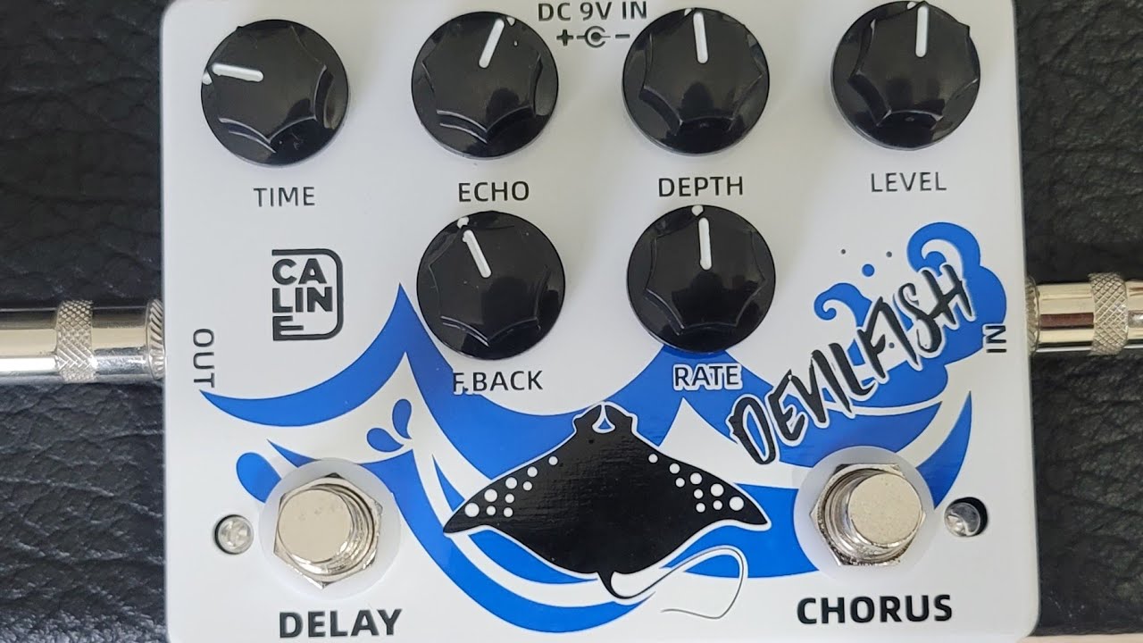 Caline DCP-03 DevilFish Chorus/Delay Bass Demo - No Talking