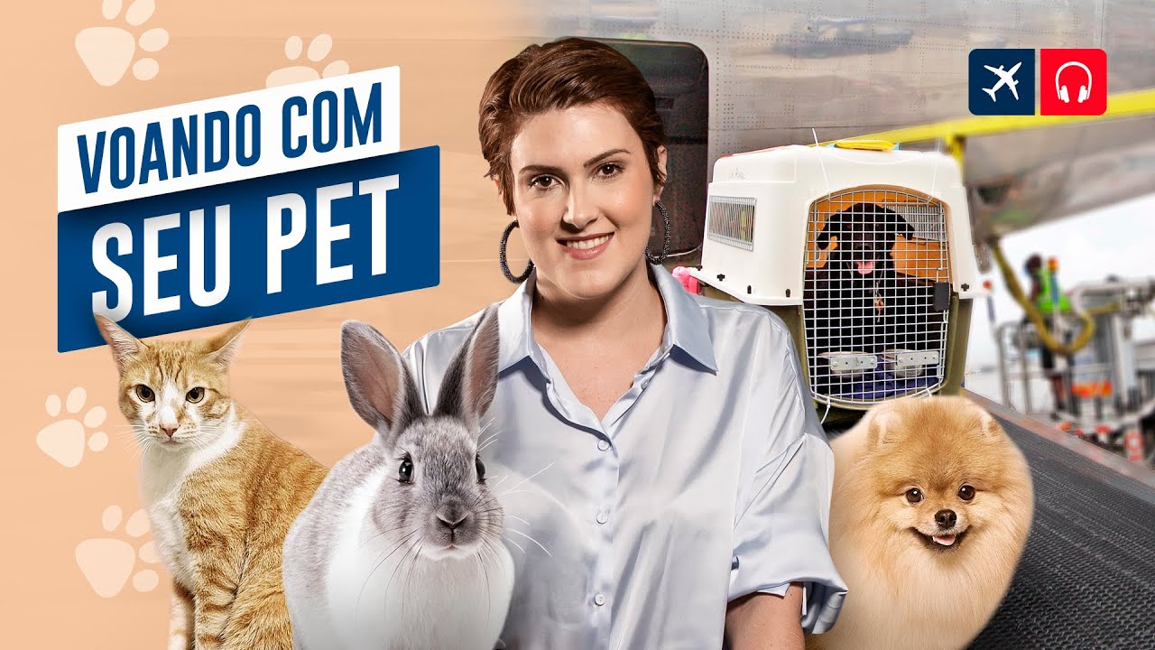 Como Voar Em Segurança Com Seu Pet | EP. 846