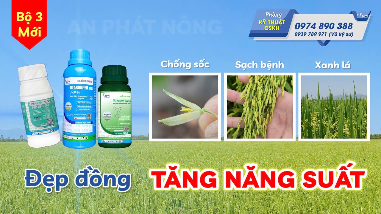 APN - BỘ 3 MỚI AN PH&Aacute;T N&Ocirc;NG | ĐẸP ĐỒNG TĂNG NĂNG SUẤT