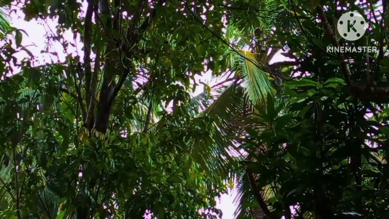make the atmosphere more comfortable when it rains