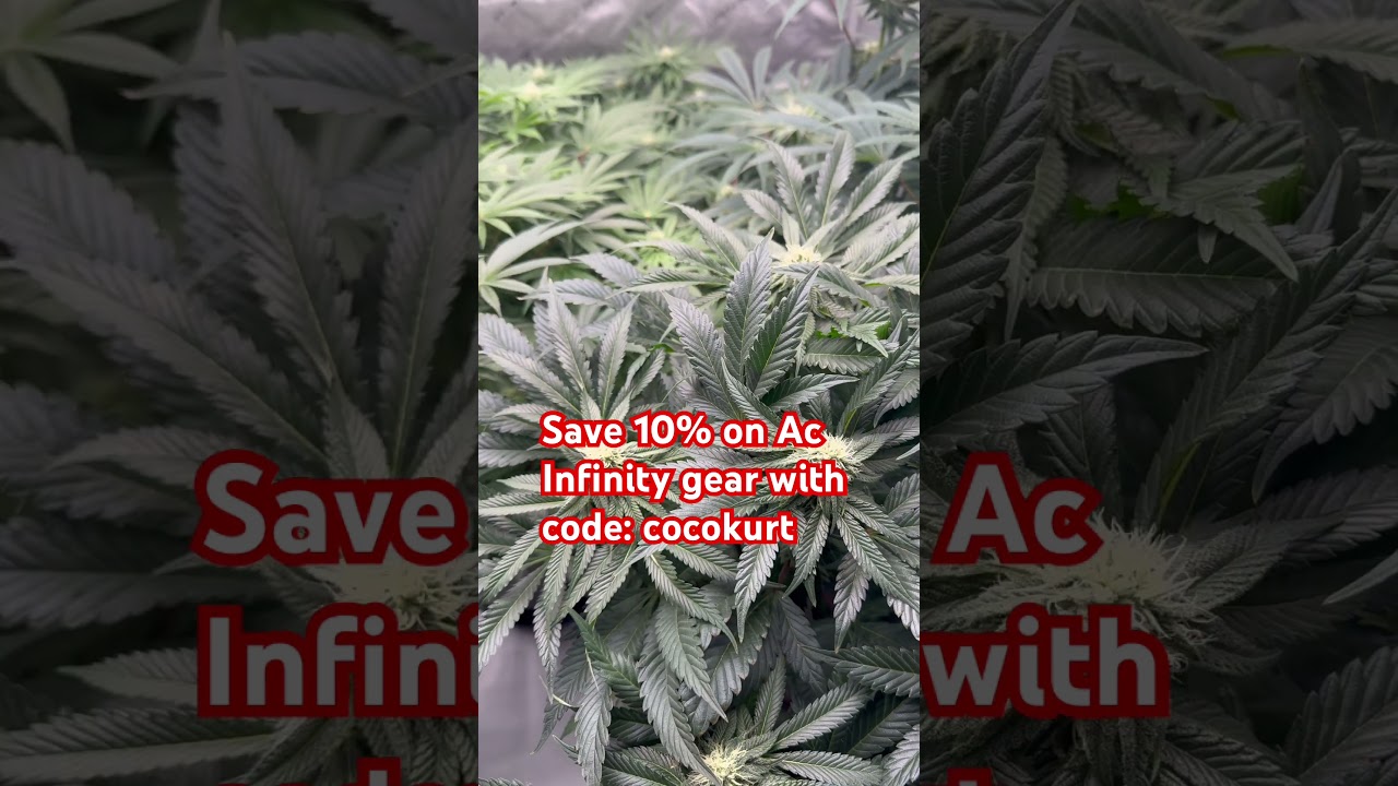 Save 10% with code: cocokurt at checkout with Ac Infinity! 