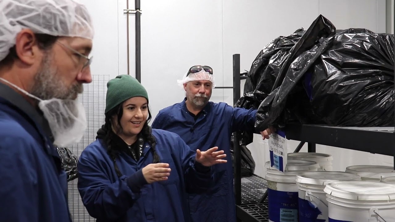 Canna-Candyland - A tour of Papa & Barkleys in Eureka, CA Part 1 - Royal Grown Radio