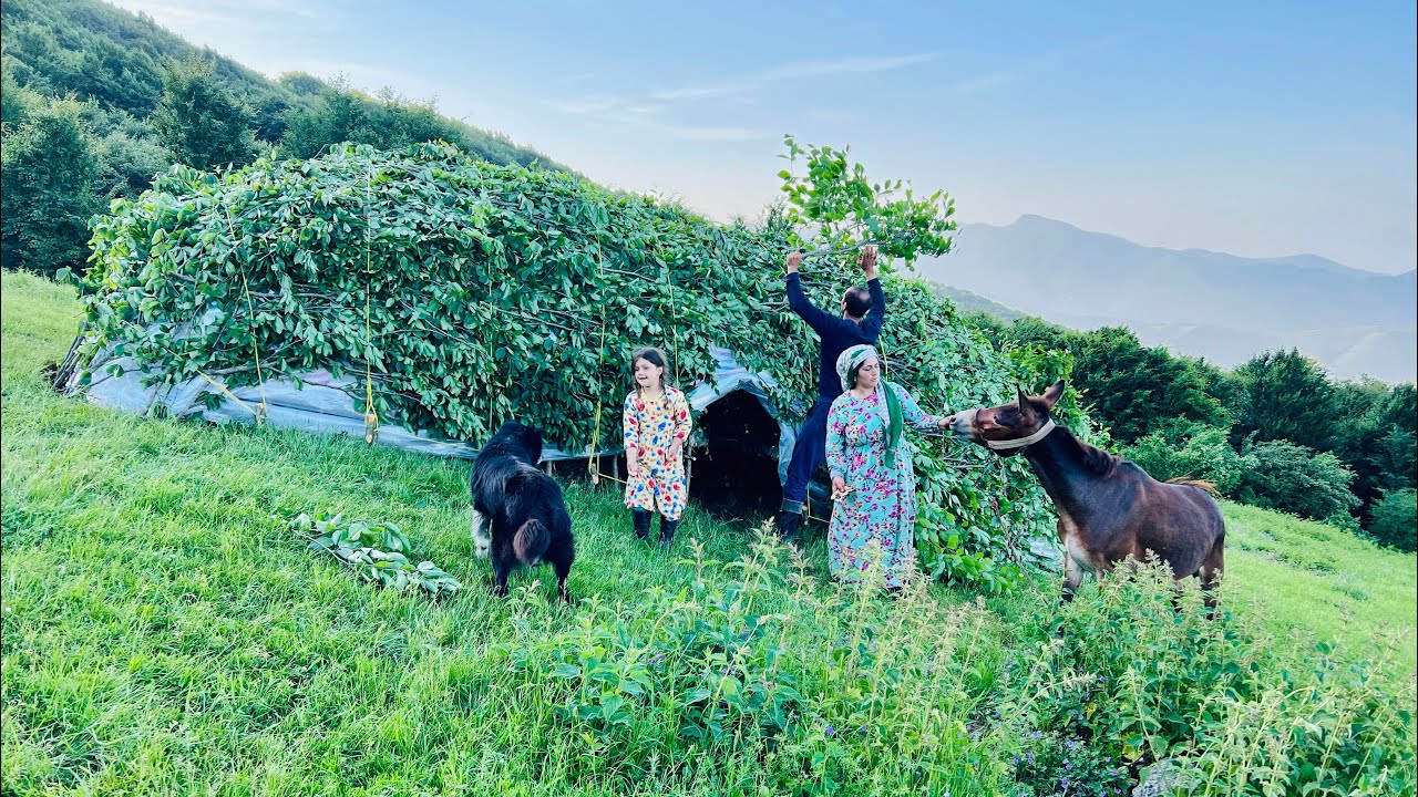 Iran Nomadic Life: Setting up a Tent and Preparing for a Living in the Mountains