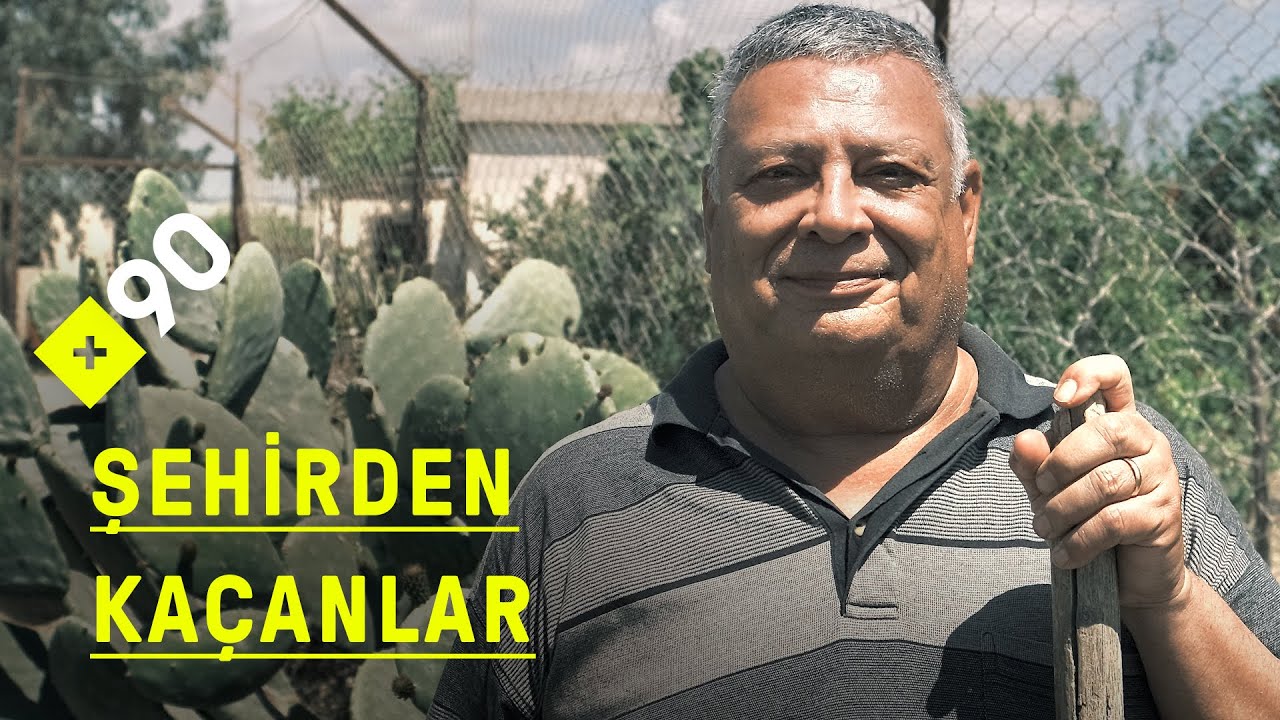 Şehirden kaçanlar: Silifke'de meyvecilik | 