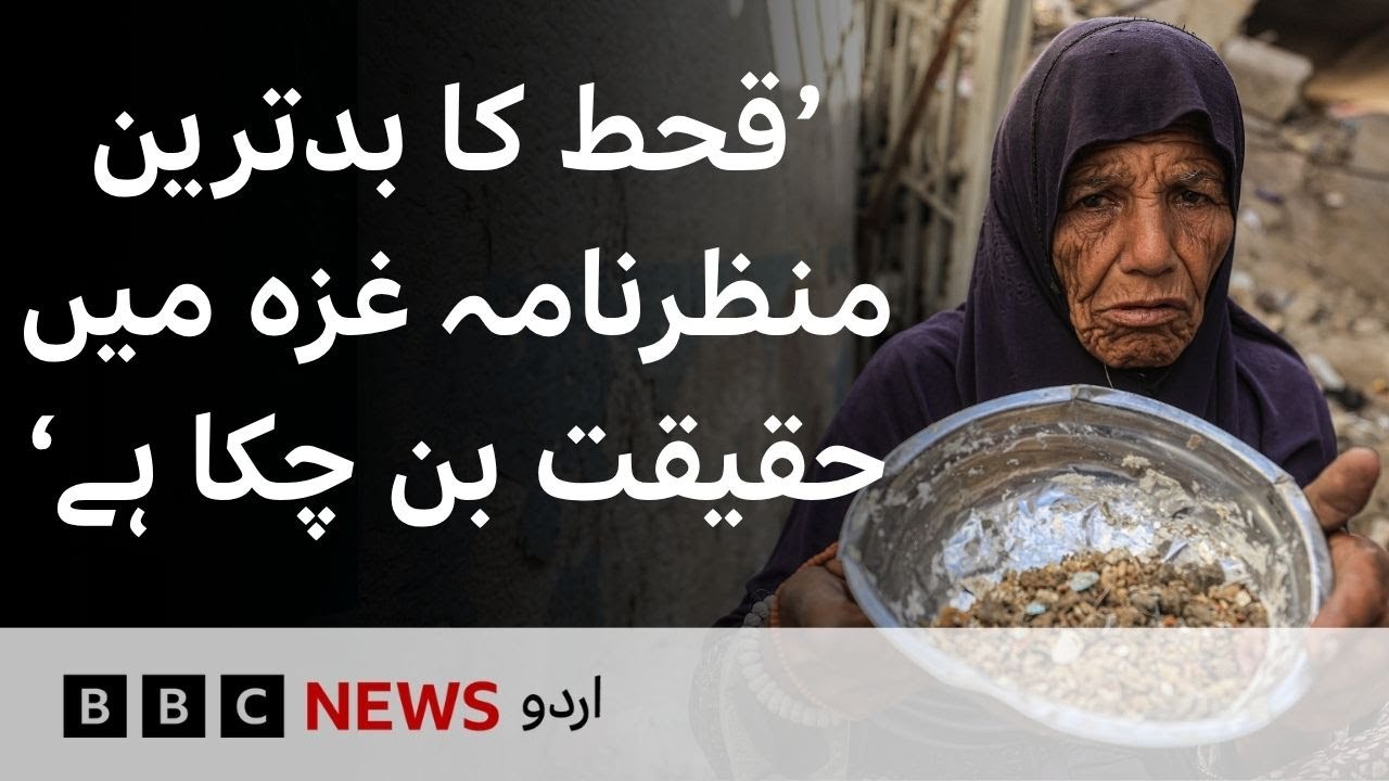 Famine 'currently playing out' in Gaza, UN-backed experts warn - BBC URDU