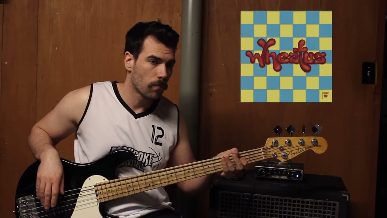 Wheatus - Teenage Dirtbag (Bass Cover)