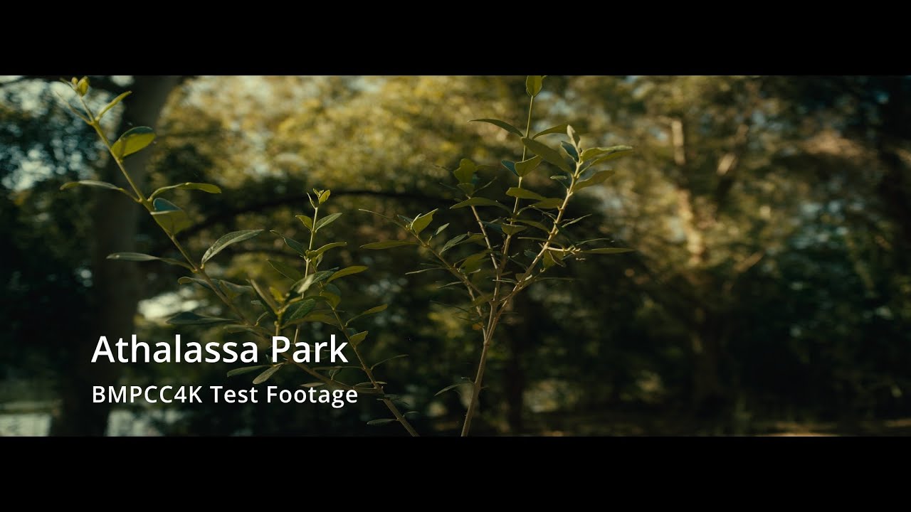 Athalassa National Park, Cyprus | BMPCC4K Test Footage