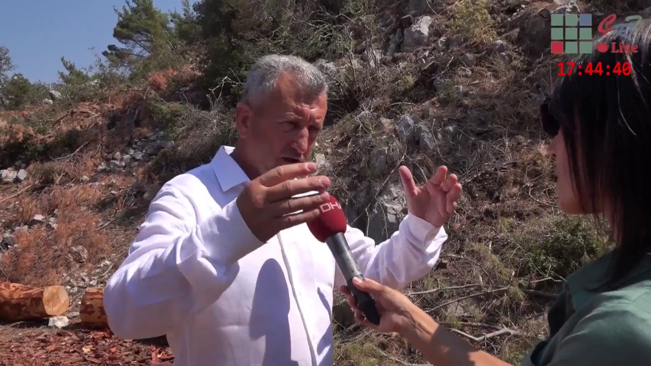Alaniçi Köyünde Yapılan Ağaç Katliamına Hayır ! ( BASIN AÇIKLAMASI )