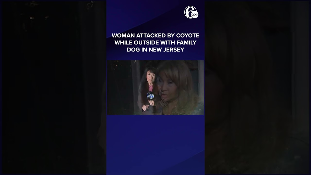 Woman attacked by coyote while outside with family dog in New Jersey