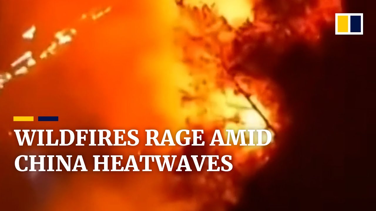 Wildfires scorch mountainside in southwest China as record heat and drought continue