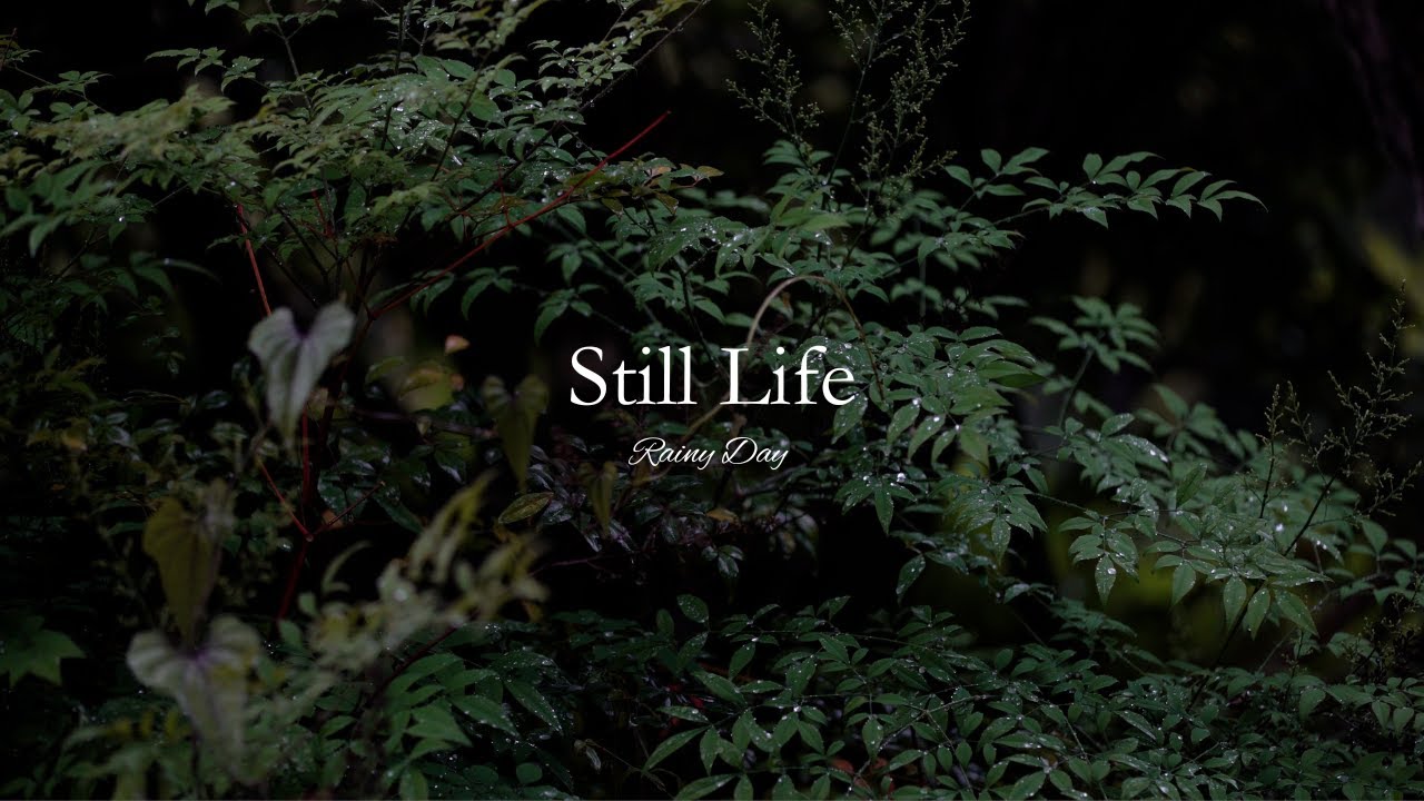 【Album】