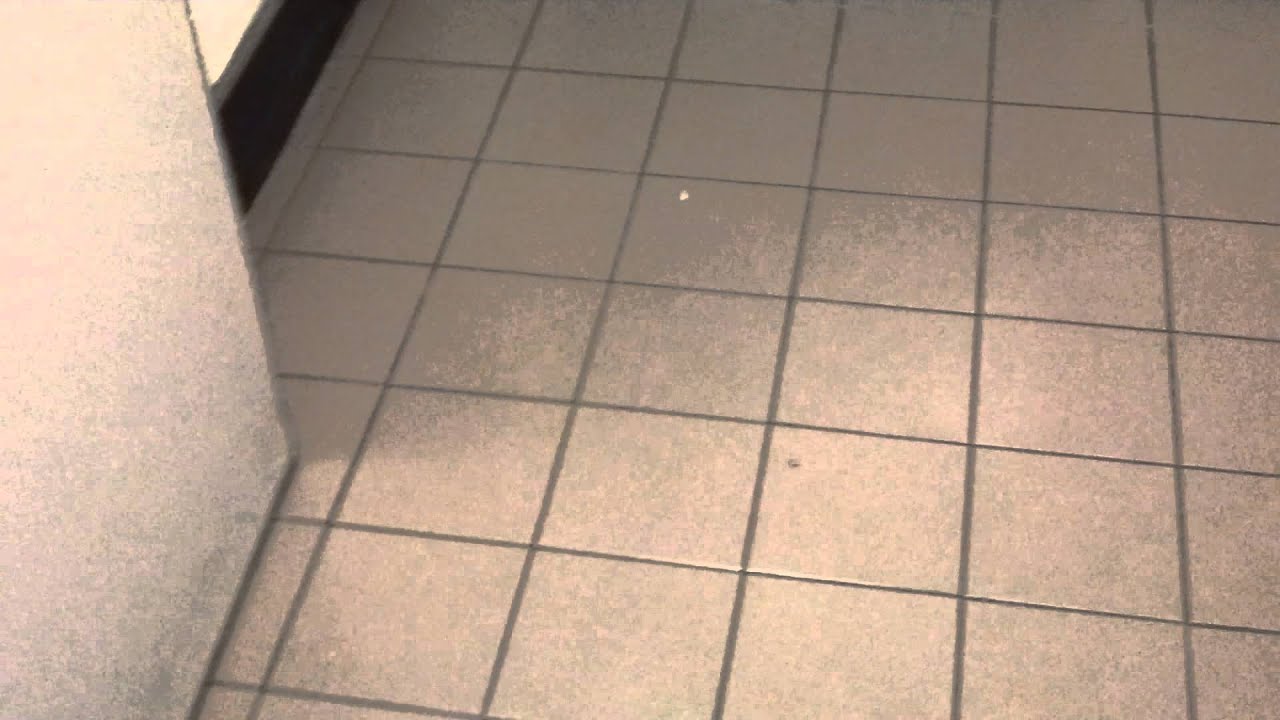 Door that sounds like Chewbacca