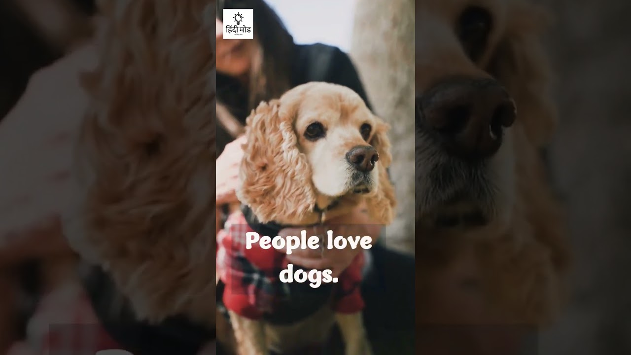 People love dogs 💕🐕💕👈 #shorts #viral #tiktok