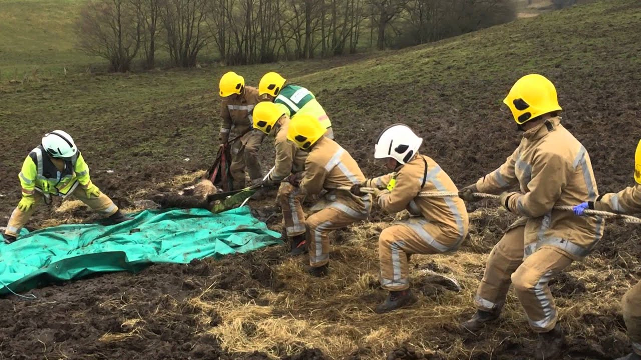 Horse rescued from deep mud, Talke Pits, Stoke on Trent.
