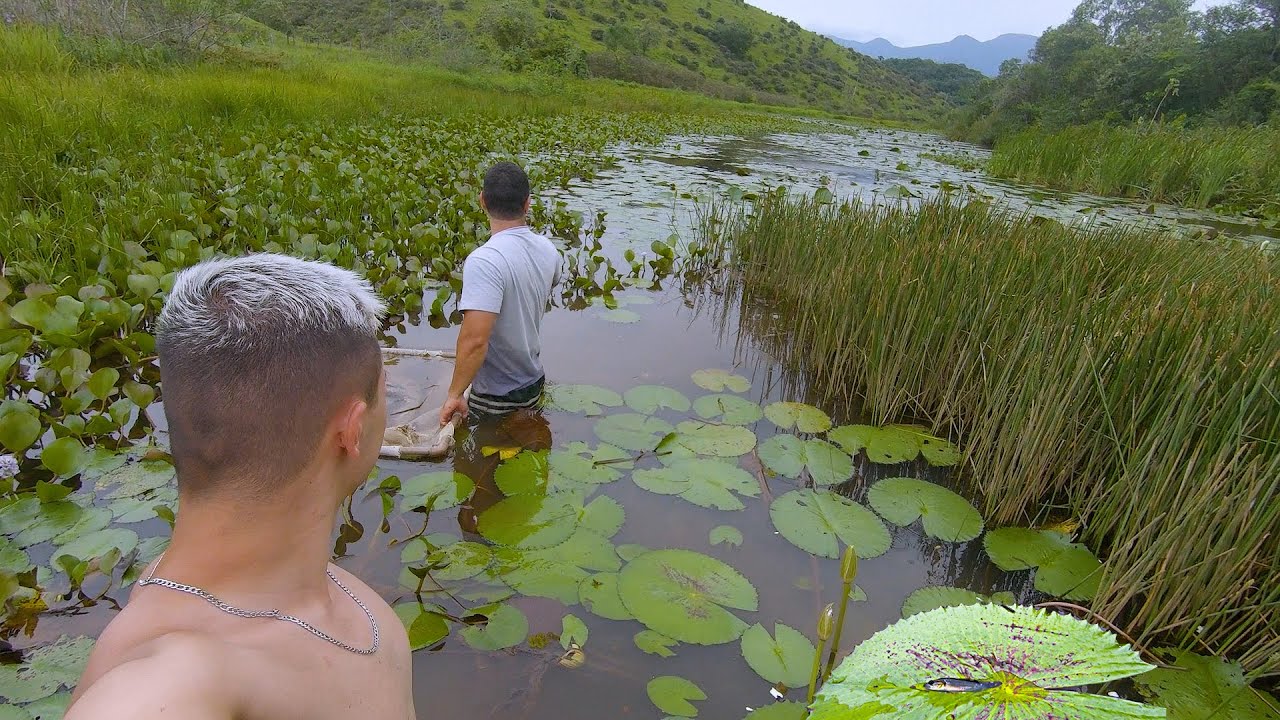 PESCA DE PENEIRA EM UM GRANDE LAGO