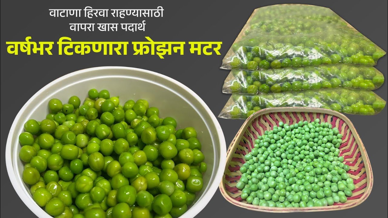 मार्केटसारखा फ्रोझन मटार बनविण्याची सोपी पद्धत | मटार वर्षभर कसा साठवावा? How to store green pease?