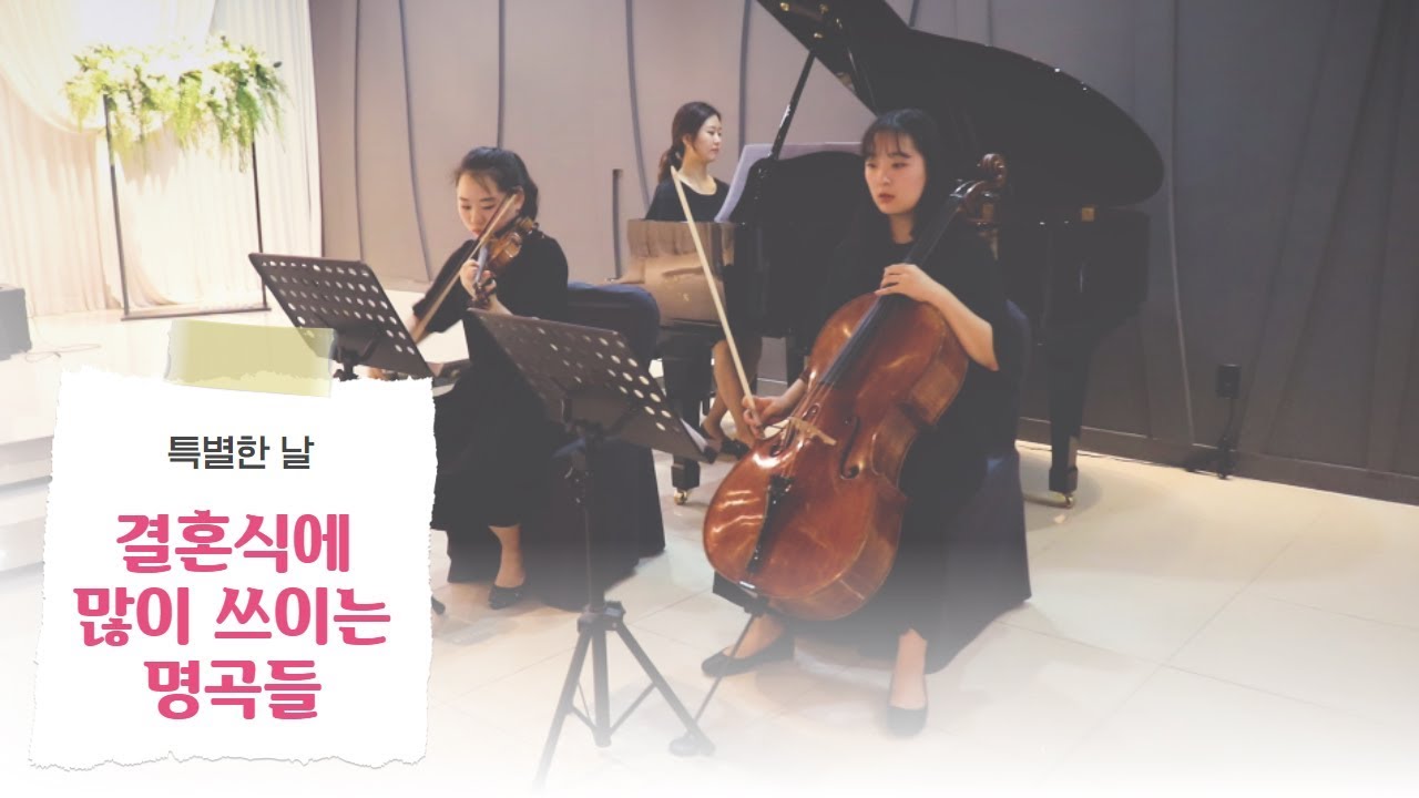 결혼식에서 많이 쓰이는 연주 곡 소개해드릴게요!