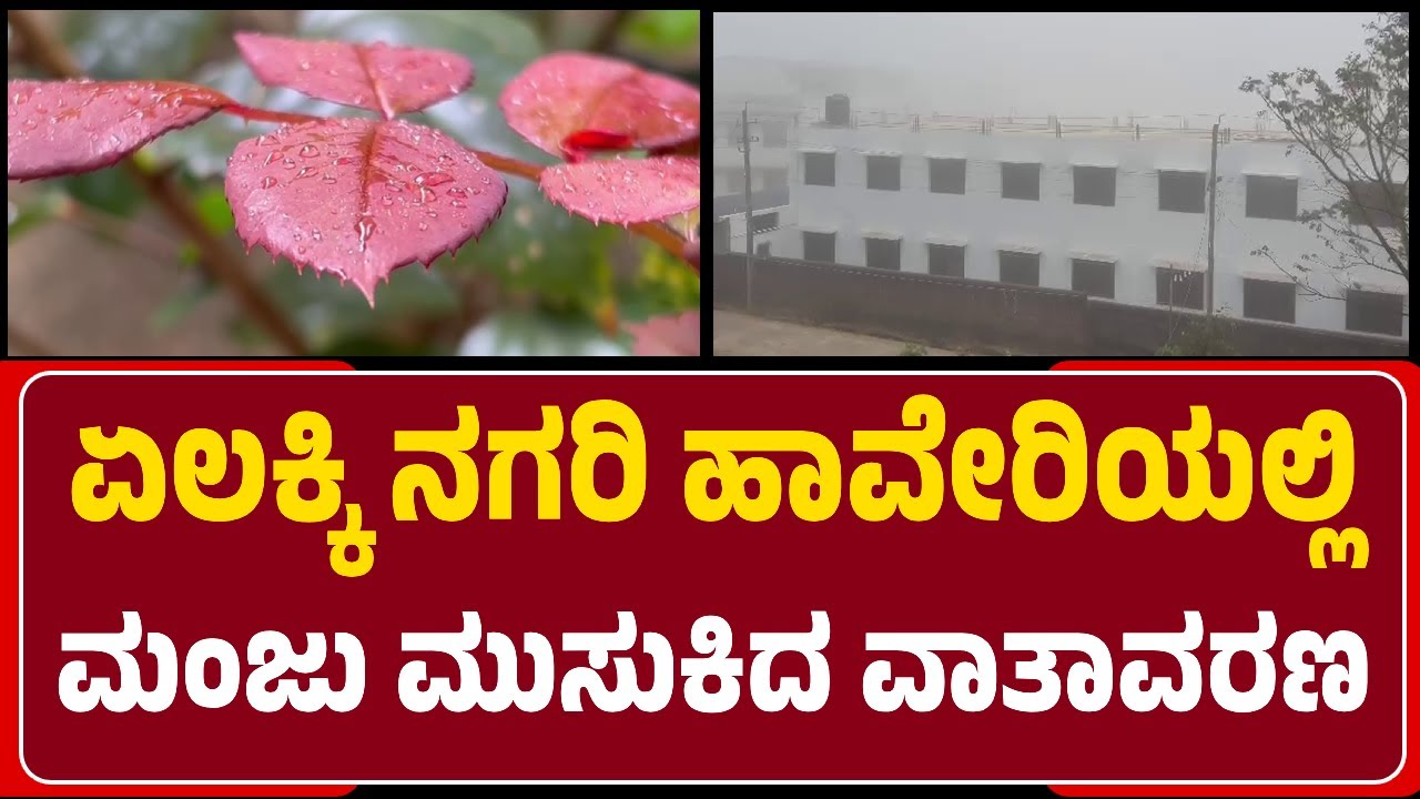 Haveri : ಬೆಳಗಿನ ಜಾವ, ಇಡೀ ನಗರದಲ್ಲಿ ಮಂಜು ಮುಸುಕಿದ ವಾತಾವರಣ | Fog | @newsfirsthaveri
