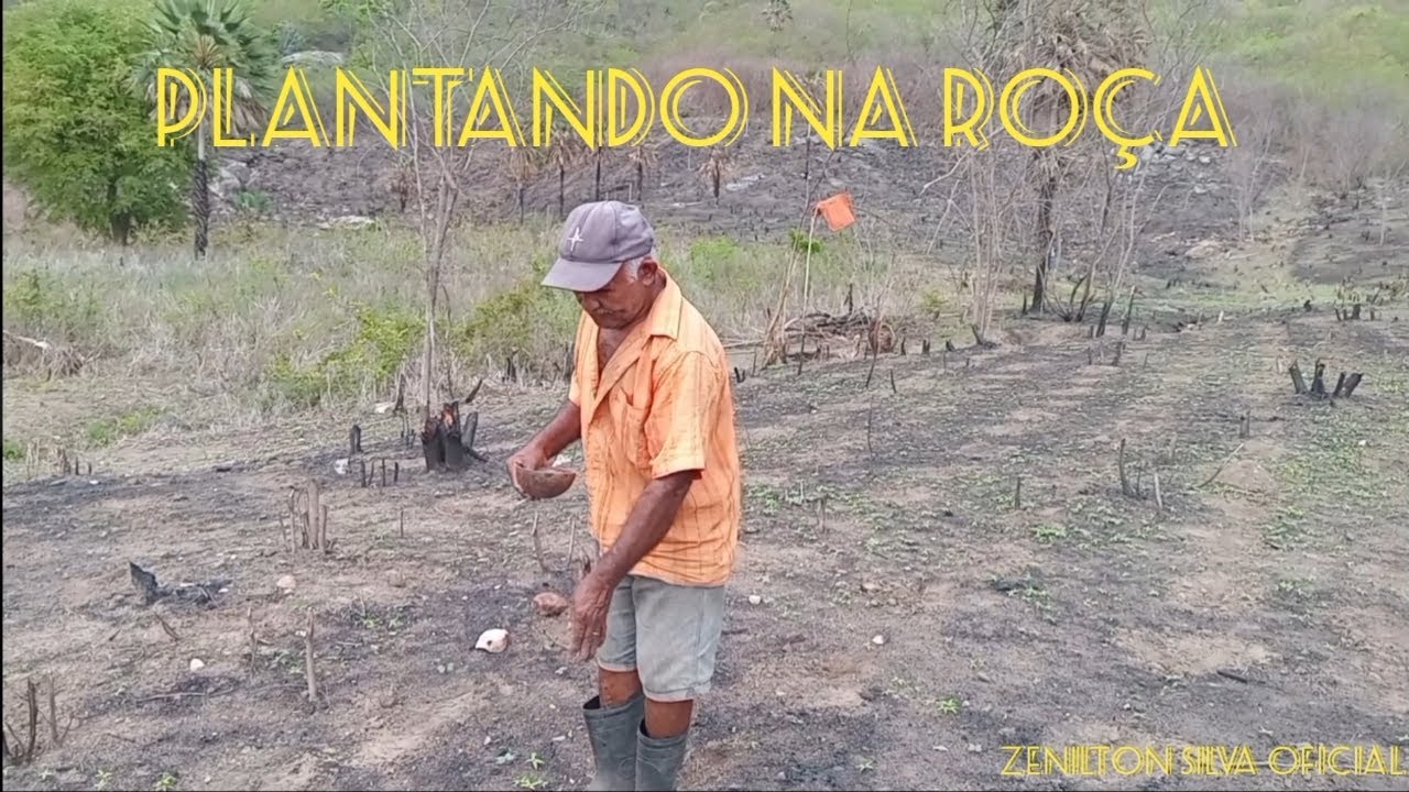 FINALIZANDO A PLANTAÇÃO DE MILHO, FEIJÃO, FAVA NA ROÇA 