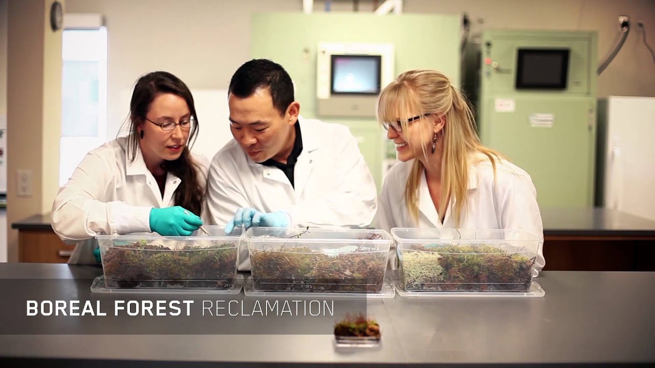 What is Applied Research?