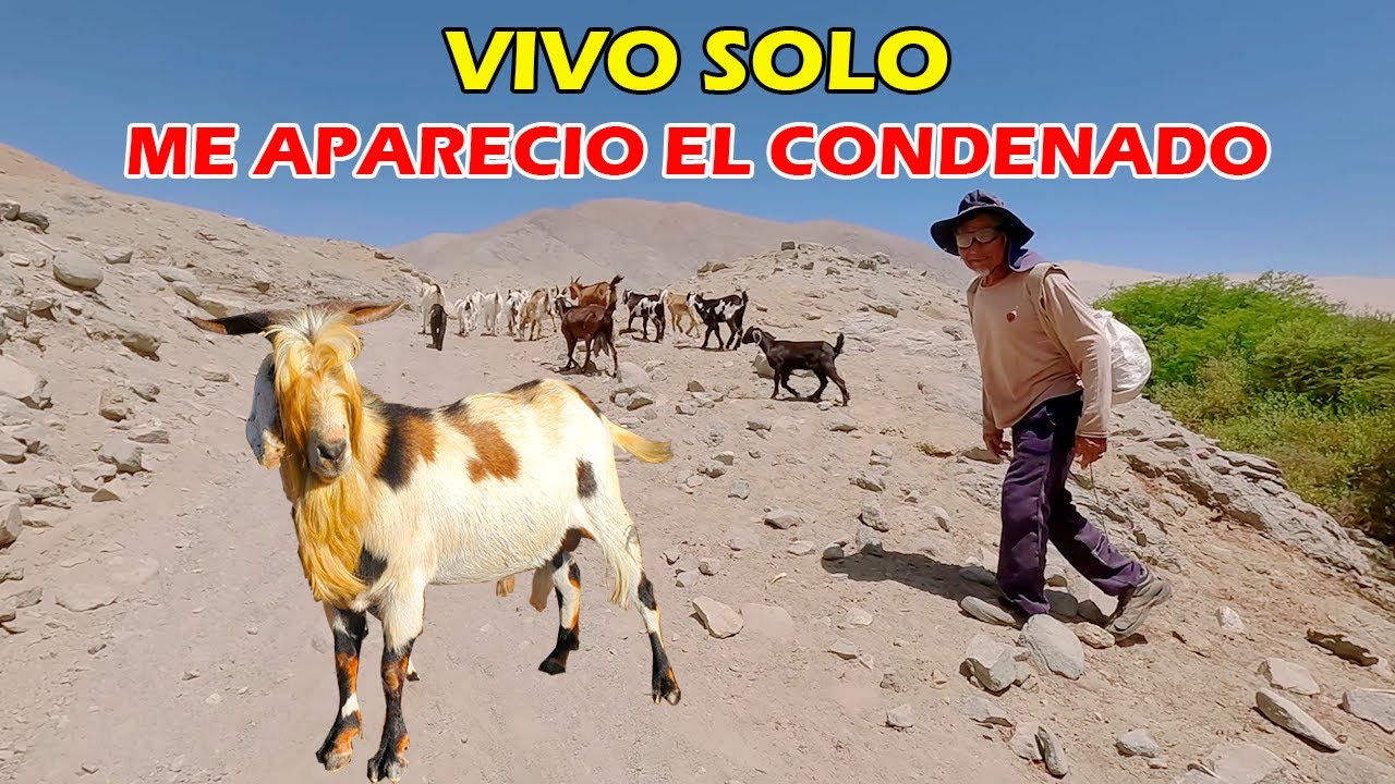 VISITAMOS AL HOMBRE QUE VIVE SOLO