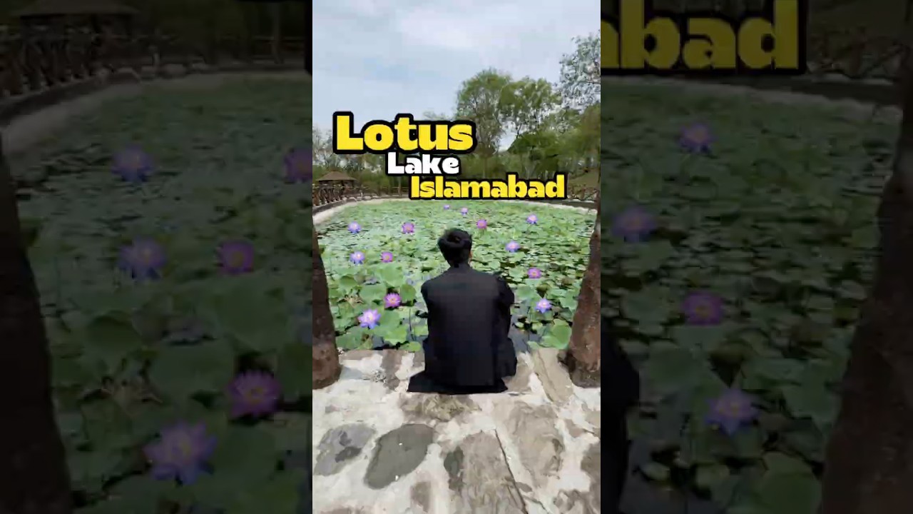 Islamabad's Hidden Lake | Lotus Lake A beautiful place that you have never seen before! #summeron...