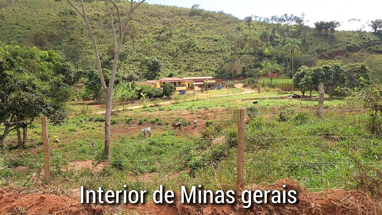 VIM DE MUNDO VELHO - FAZENDO  A VOLTA PELO CÓRREGO DOS ANDRES , MUNICÍPIO DE RIO VERMELHO MG