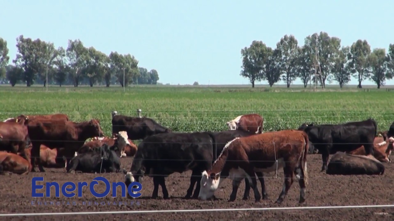 Bombeo solar para ganader&iacute;a
