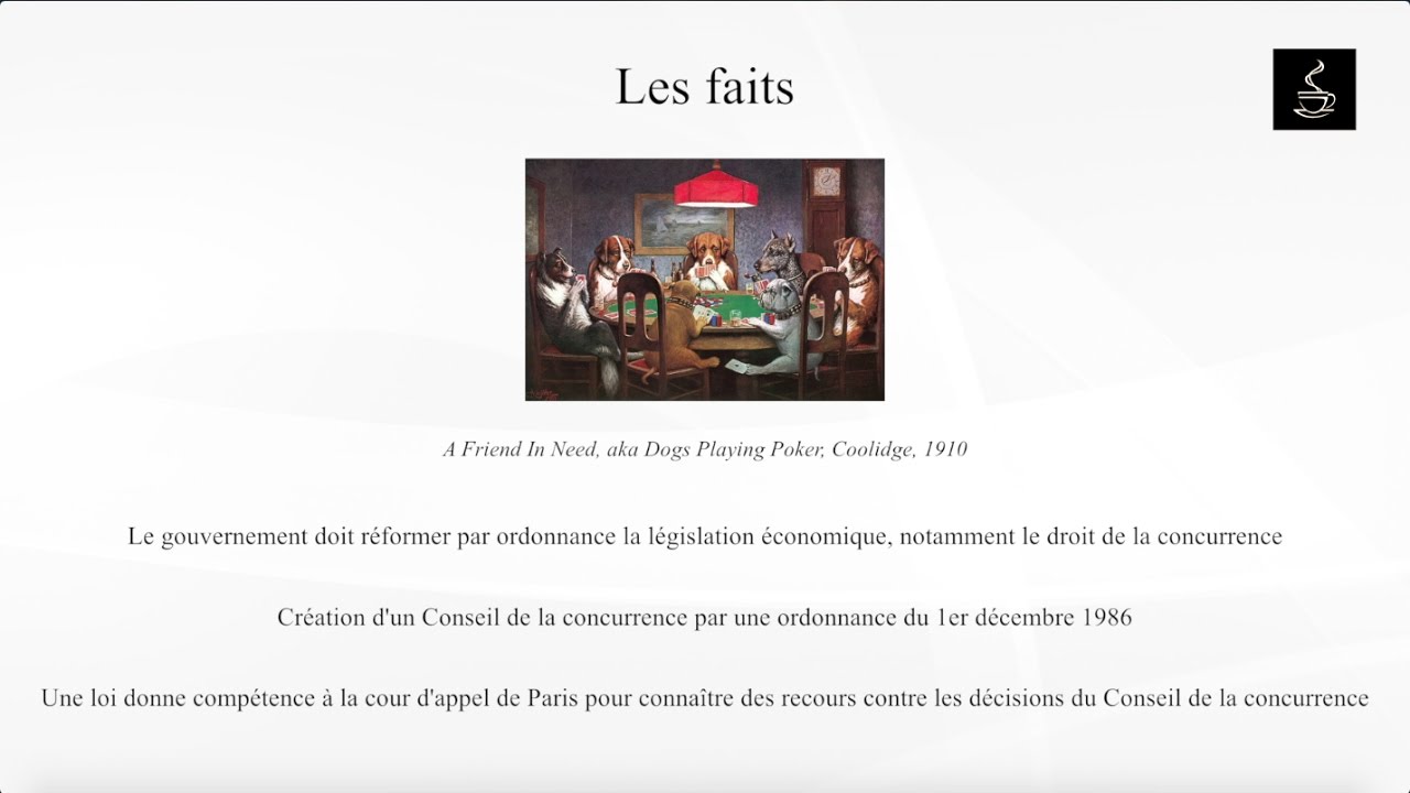 Décision Conseil de la concurrence - Conseil constitutionnel