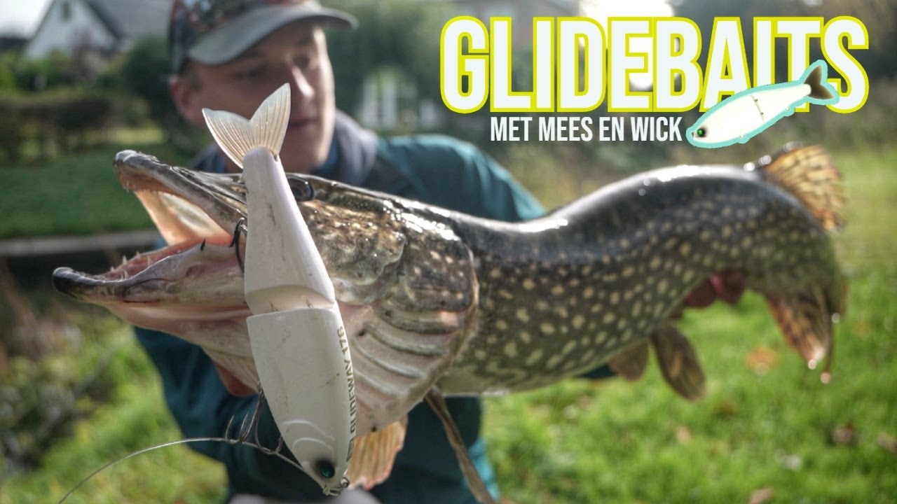 GAMECHANGING KUNSTAAS voor herfst &Eacute;N winter! Snoek vangen op de GLIDEWAY 176 EN BLOODSTYLE 178