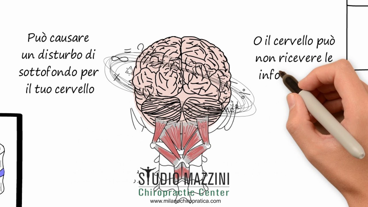 Il tuo cervello, il corpo e la colonna vertebrale