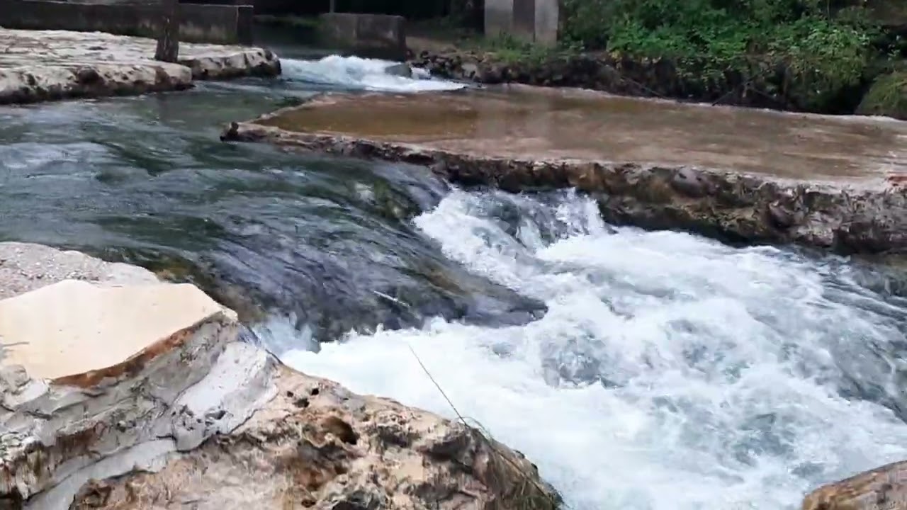 يارب صلي على النبي وأله ما فاض نبع بالجدوال أو جرى