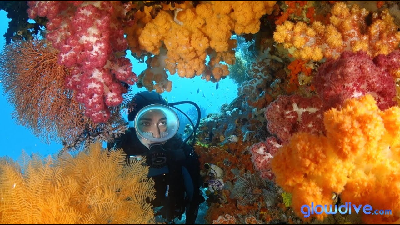 Raja Ampat Reefs