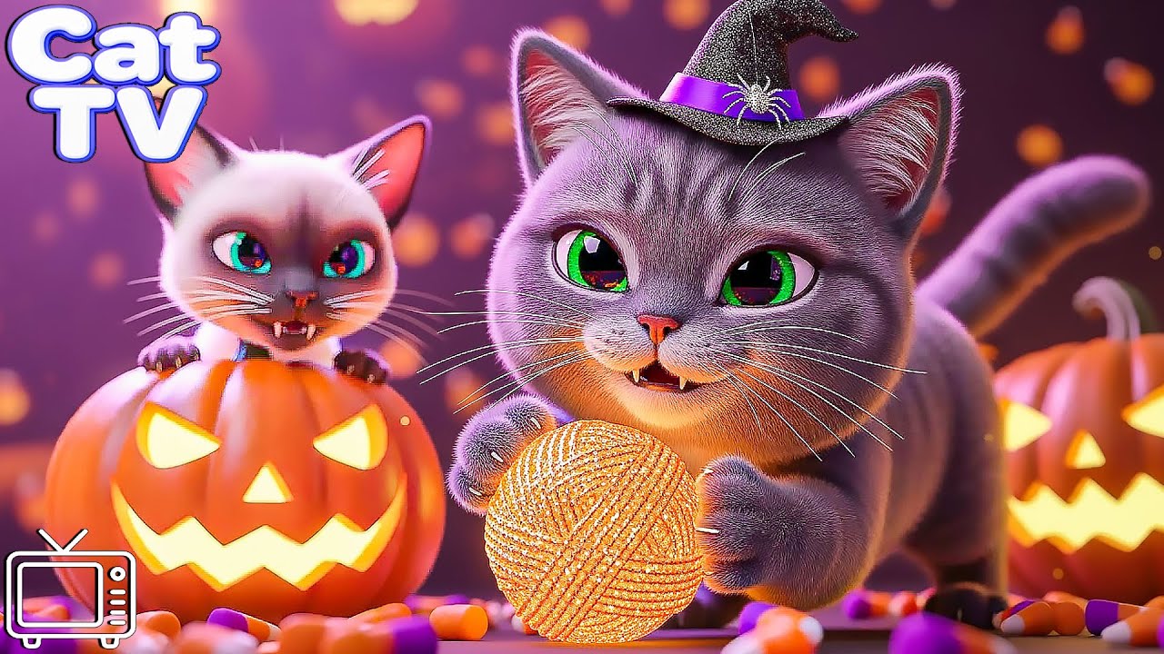 CAT TV: Entertainment Videos for Cats to Watch | Ultimate Cartoon for Cats to Soothe Cat's Anxiety