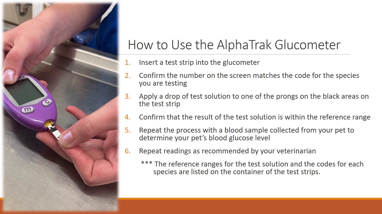 How to Use the AlphaTrak Glucometer
