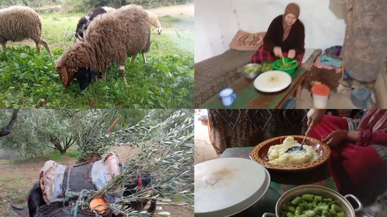عشت حياة البادية الحقيقية،خرجنا الكسيبة ترعى وغرست شجر الزيتون وجدنا الفطور 😍🤲💦