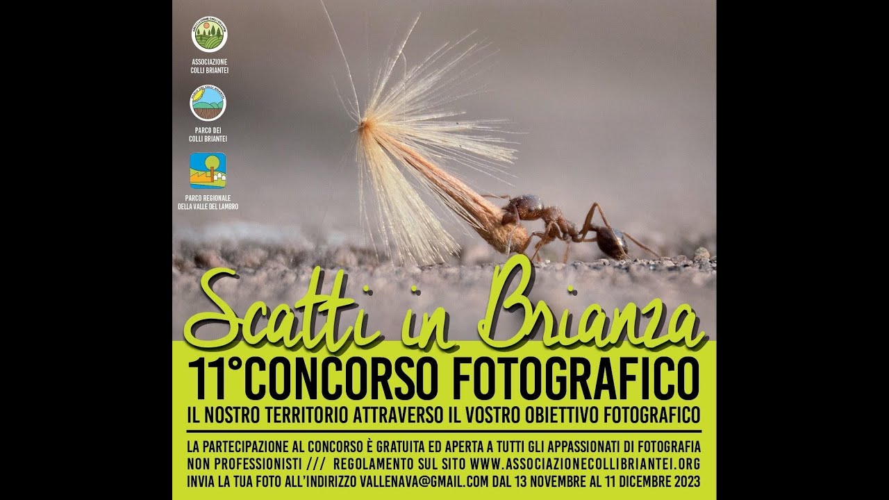 #Scatti in Brianza 2023 - tutte le immagini in concorso