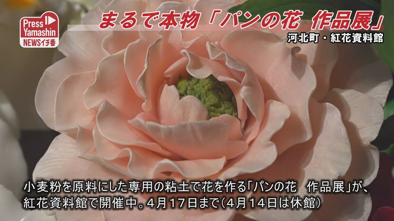 まるで本物「パンの花 作品展」　河北町・紅花資料館