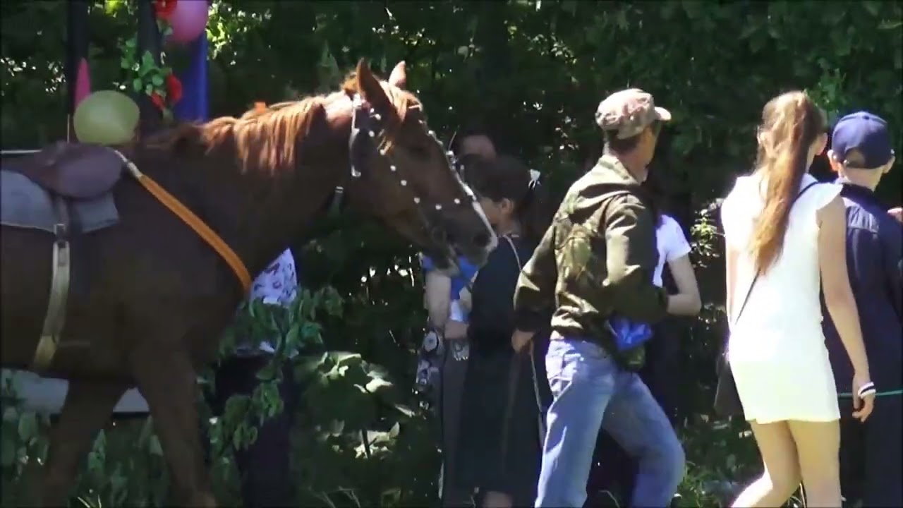 Сусады Эбалак 2019