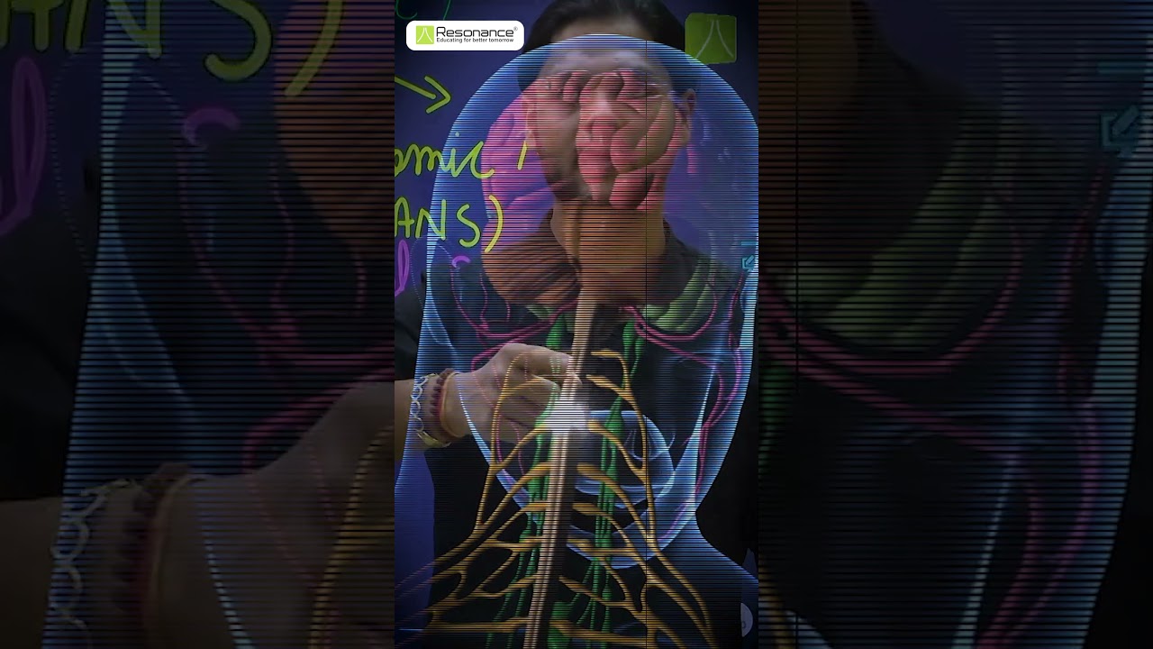 ⚡ Why Are Some Reactions Faster Than Others?