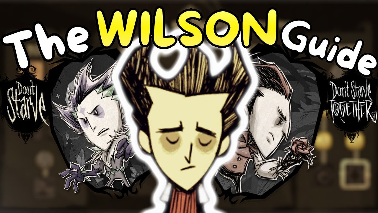 The Complete WILSON Guide
