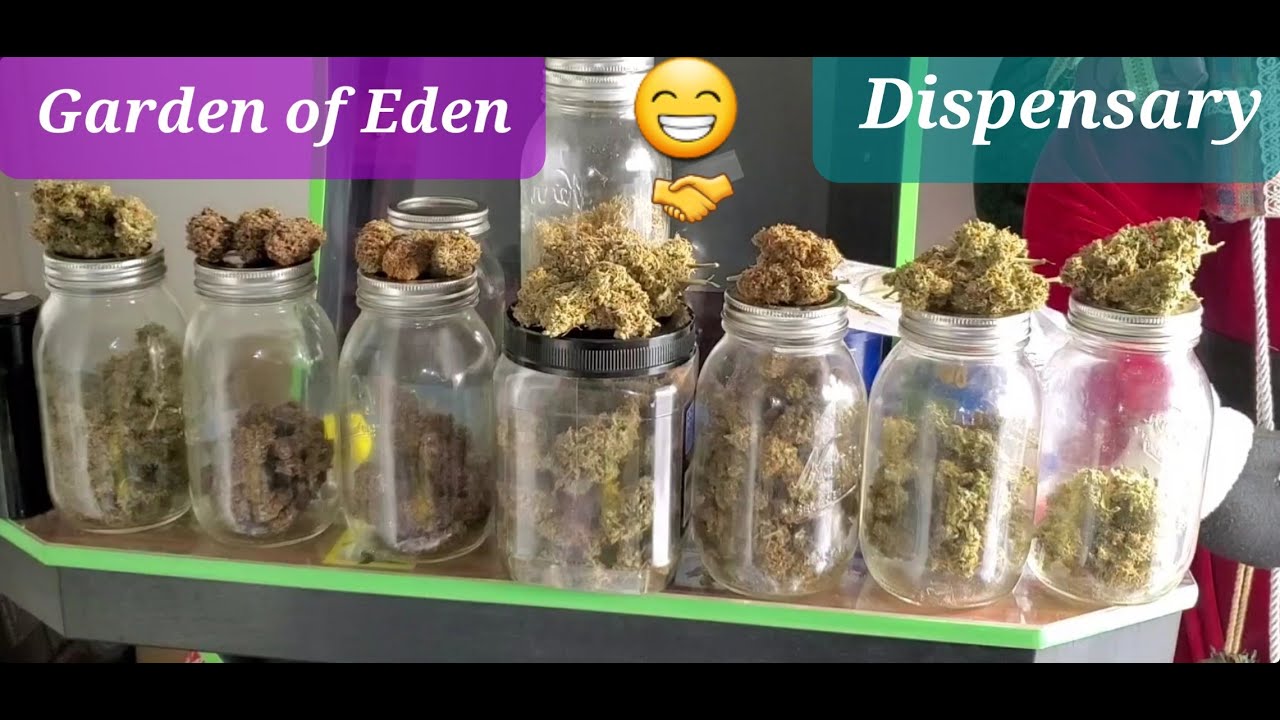 The Garden of Eden Dispensary,  By Governor 420
